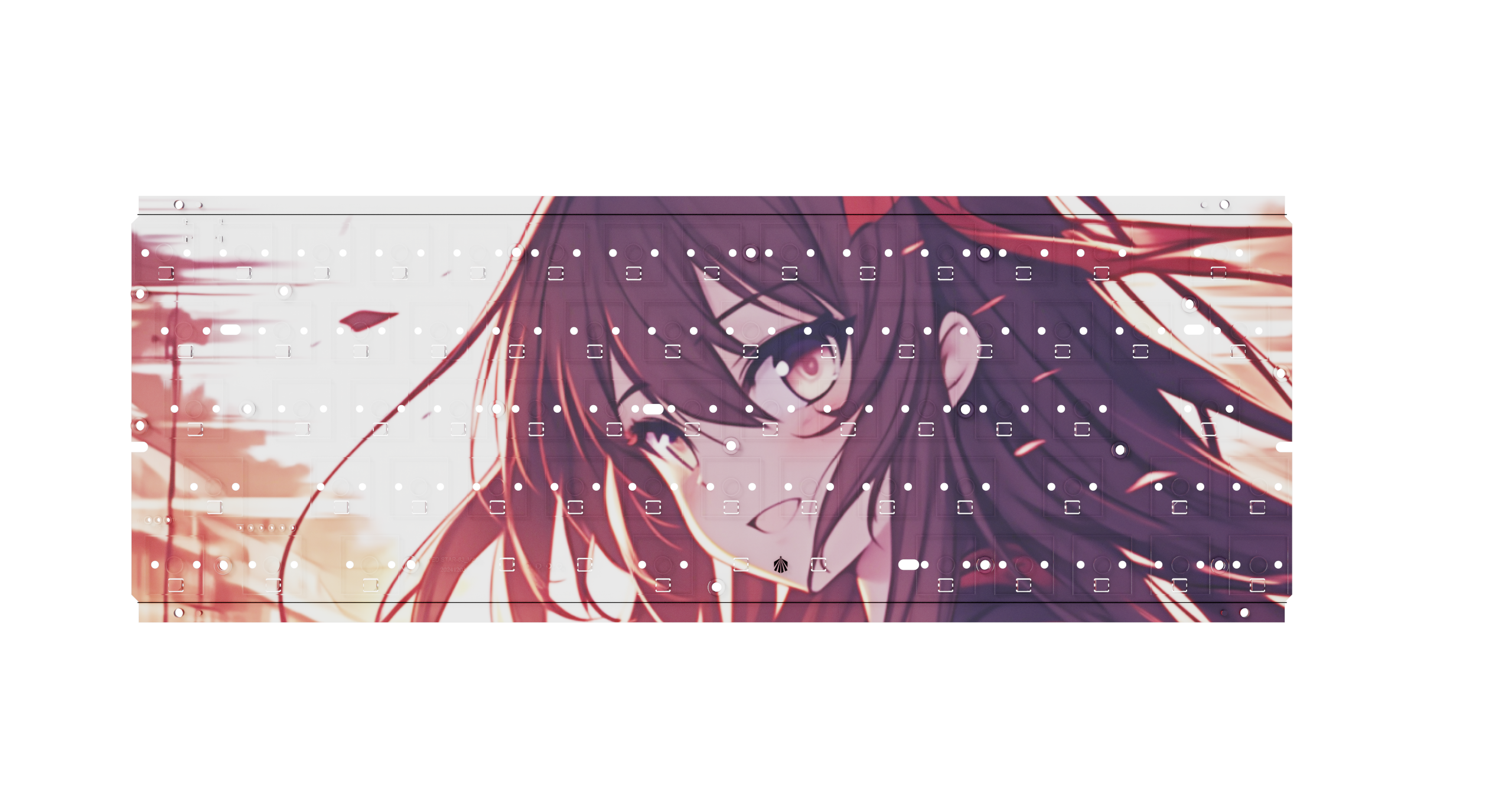 Red Star 63 2025-2-8 最新固件 升级 0.01 精度